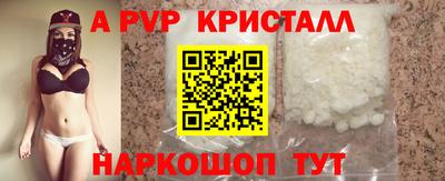 спиды Донской